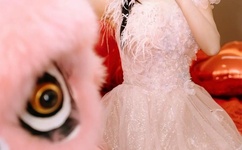 中文字幕欧美日韩VA免费视频